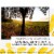 J Vineyards Pinot Noir California Red Wine Perspective: top