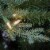 7 1/2' Feel Real® Wenatchee Fir Hinged Tree with Warm White LED Lights Perspective: top