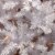 National Tree Company 12 ft Artificial Pre-Lit Slim Christmas Tree, White, Kingswood Fir, Perspective: top