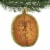 Old World Christmas Cantaloupe Glass Ornament Melon Fruit 28083 Perspective: top