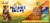 Nature's Recipe® Grain Free Dog Food Variety Pack Perspective: top