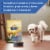 Nature's Recipe® Grain Free Small Breed Dry Dog Food Chicken, Sweet Potato & Pumpkin Perspective: top