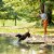 Nature's Recipe® Grain Free Adult Dry Dog Food Salmon, Sweet Potato & Pumpkin Perspective: top