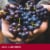 JUSTIN Cabernet Sauvignon Paso Robles Red Wine Perspective: top