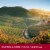 Justin Cabernet Sauvignon California Red Wine Perspective: top