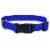 Alliance Blue Small Dog Collar Perspective: top