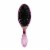 Wet Brush Tiana Disney Princess Brush Perspective: top