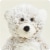 Warmies - Regular - Brown Marshmallow Bear Perspective: top