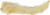 Best Buy Peanut Butter Flavored Cow Ear Perspective: top