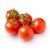 Wholesum Harvest Organic Tomato on the Vine Perspective: top