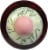 Bach Willow Flower Essence Perspective: top