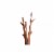 Santa Clara Coat Rack Perspective: top