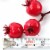 Artificial Holiday Red Berry Pick with 15 berries-10 (24 Pieces) Perspective: top