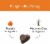 Natural, Grain-Free Dog Biscuits | Made w/Upcycled Ingredients in USA | Pumpkin Nut Partay Perspective: top