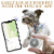 Urban Dog Stars - Apple AirTag Integrated Collar Perspective: top