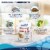 Forza10 - Active Behavioral Support For Dogs Perspective: top