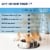 Forza10 Sensitive Digestion Care For Dogs Perspective: top