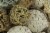 Neutral White Decorative Mushroom Mix Assorted Dried Botanicals In a Bag Perspective: top