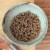 Seeds of Wellness Gluten-Free Chickpea Chia Pasta Shells Perspective: top
