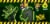 Takis® Zombie Habanero & Cucumber Multipack Perspective: top