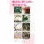 LANGXUN Gold Metal Balloon Decoration Arch Kit for Wedding and Birthday Party Perspective: top