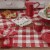 Park Designs Buffalo Check Placemat Set - Red & Cream Perspective: top