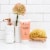 SheaMoisture Coconut & Hibiscus Body Butter Perspective: top