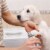 Dog Nail Clippers Pet Cat Nail Toe Trimmer Stainless Steel Grooming Tool Free Nail File Small Perspective: top