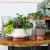 The HC Companies Vanilla Bisque Capri Bowl Planter Perspective: top