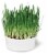 SmartyKat Catnip Caves Paper Bag Toy Hideout &  Sweet Greens Oat Grass Grow Kit - 5 Pack Perspective: top
