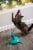 SmartyKat Loco Motion Electronic Motion Wand Toy for Cats & Kittens - Blue, One Size Perspective: top