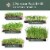 Window Garden Microgreens Refill (3 Pack) - Growing Kit w/ Seeds, Soil, Superfood Greens Perspective: top