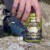 NoDa Brewing Comapny® Hop Drop 'N Roll™ IPA Craft Beer Perspective: top