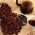 Premium Kaya Kopi Luwak From Indonesia Wild Palm Civets Arabica Light Roast Coffee Beans 200g Perspective: top