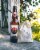 Ace Fermented Apple Cider Perspective: top