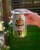 Ace Cider Perry Hard Cider Perspective: top