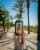 Ace Cider Pineapple Craft Cider Perspective: top