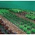 Coolaroo 6 Ft. W. x 15 Ft. L. Rainforest Green 30% UV Sun Screen Fabric 457952 Perspective: top