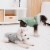 Touchdog Eskimo-Swag Duck-Down Parka Dog Coat Perspective: top