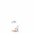 The Honest Co. All The Letters + It's A Pawty Clean Conscious Diapers Perspective: top