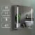 Erie 30 in. W x 26 in. H Silver Aluminum Recessed or Surface Mount LED Mirror Cabinet Perspective: top