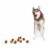 Midlee Candy Cane Tennis Balls Dog 1.5 Balls with Squeaker- Set of 6 Perspective: top