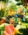 Flying Embers Birds of Paradise Organic Hard Kombucha Perspective: top