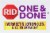 RID One & Done™ Lice Treatment Perspective: top