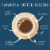 Southern Pecan Medium Roasted Ground Coffee 1lb Perspective: top