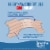 Breathe Right Tan Extra Strength Drug Free Nasal Strips 44 ea Perspective: top