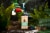 Dr. Squatch® Cool Fresh Aloe Men's Natural Deodorant Stick Perspective: top