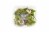 Fresh Kitchen Asparagus Satute Mix Perspective: top