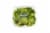 Fresh Kitchen Brussels Sprouts Perspective: top