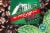 Andes® Mint Chocolate Coffee Pods Perspective: top